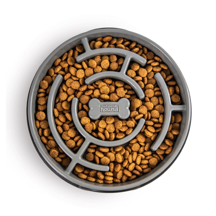 Outward Hound Fun Feeder Slow Bowl for Dogs Review