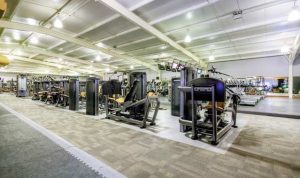 gym equipment southampton Elevate Your Fitness Journey gym equipment southampton Elevate Your Fitness Journey
