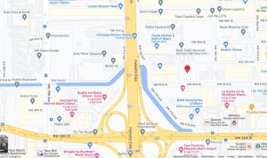 Toy Shop Miami Where Fun And Imagination Meet