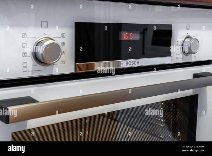 Bosch Built-In Electric Oven for Contemporary Homes