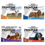 Frontline Plus Flea and Tick Treatment for Dogs Complete Review