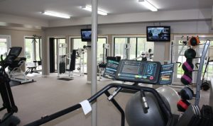 Exercise Equipment Southampton All Your Fitness Needs
