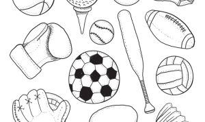 Sport Equipments For Every Athletes Journey