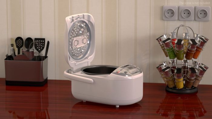 Zojirushi Induction Heating Rice Cooker with Keep Warm Function