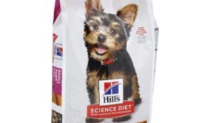Hills Science Diet Puppy Small Paws Dry Food Benefits Explained Hills Science Diet Puppy Small Paws Dry Food Benefits Explained