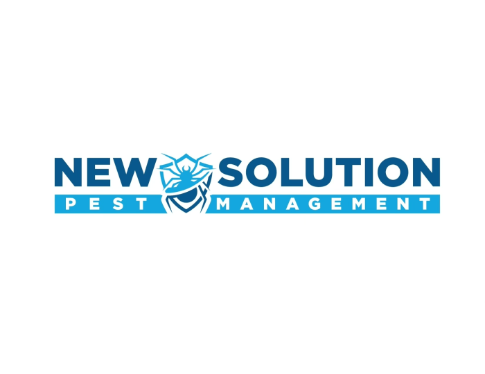 newsolutions Transforming Industries with Innovation