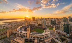 Petco Mission Photos Showcasing Commitment To Animals