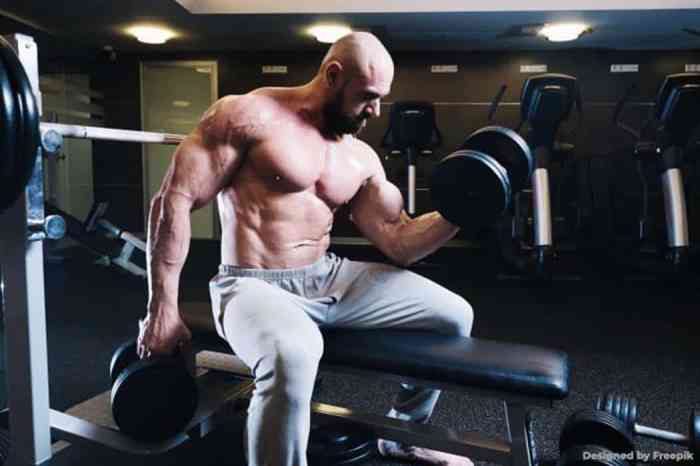 Best Weight Benches For Home Elevate Your Fitness Game