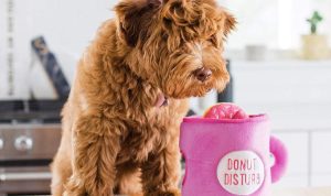 Online dog products the ultimate shopping experience