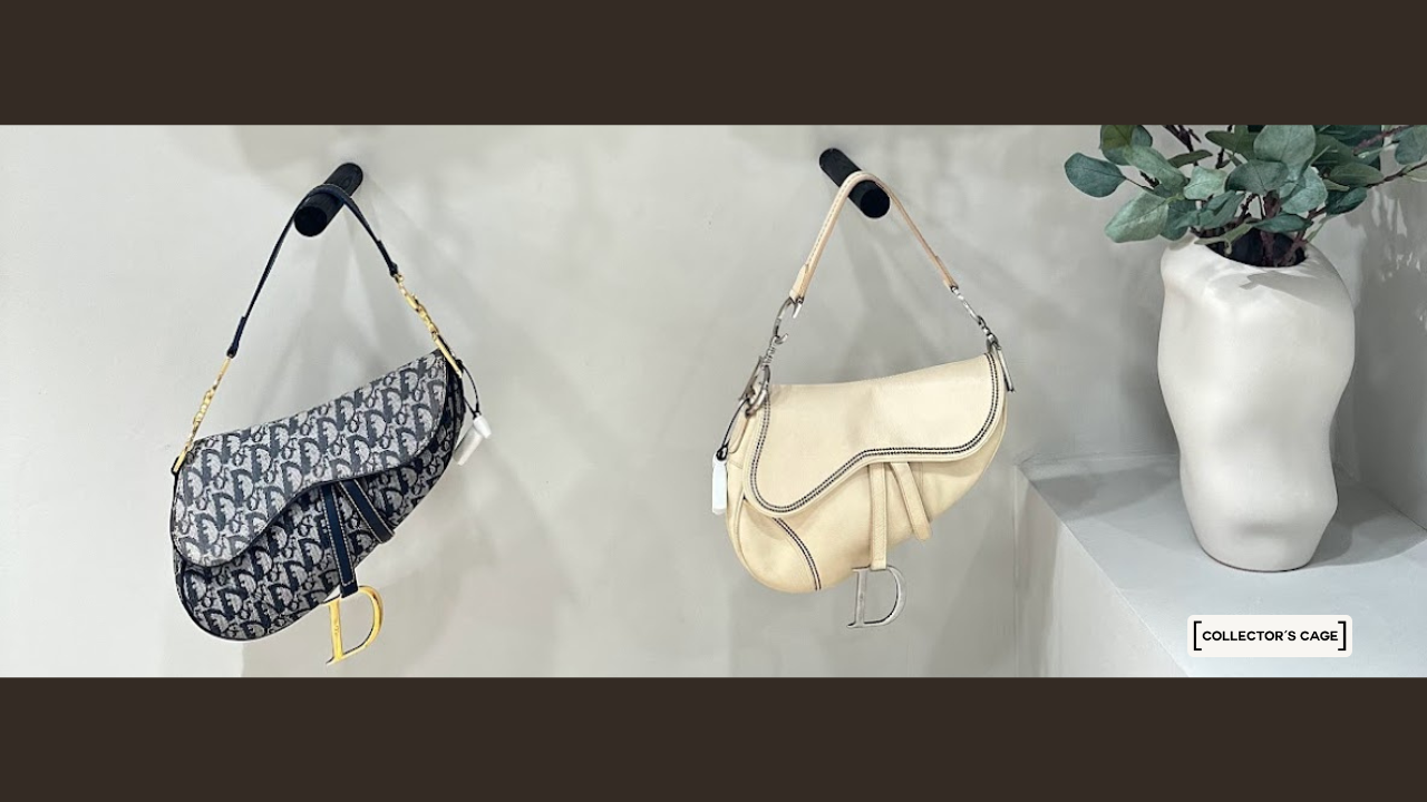 Dior Saddle Bag Investment Value Guide Unveiled