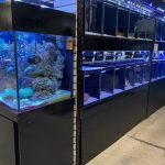 Pet Store Waterfront A Unique Shopping Experience